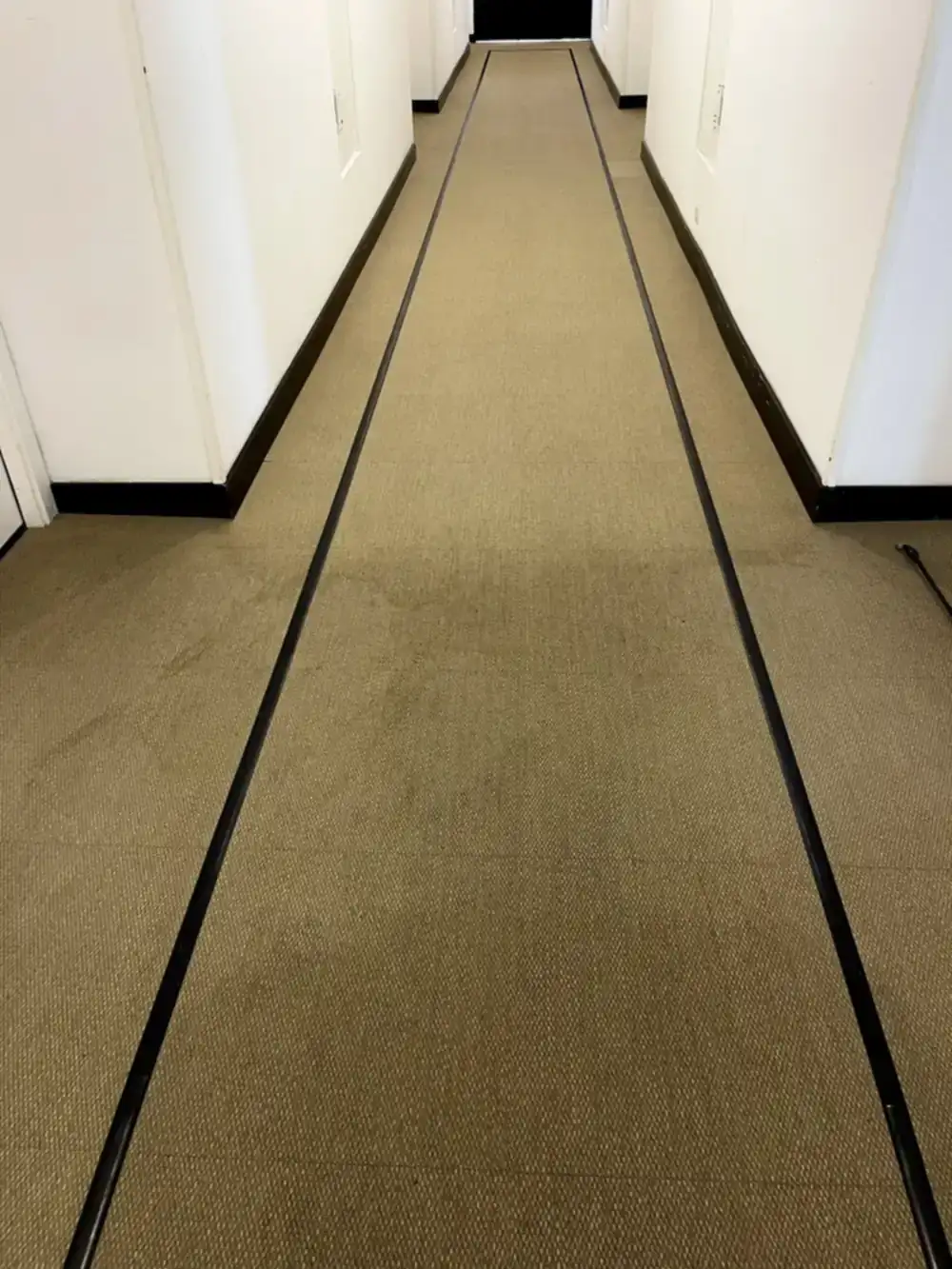 Diferencia antes y después de limpieza de moqueta en un hotel en Benidorm