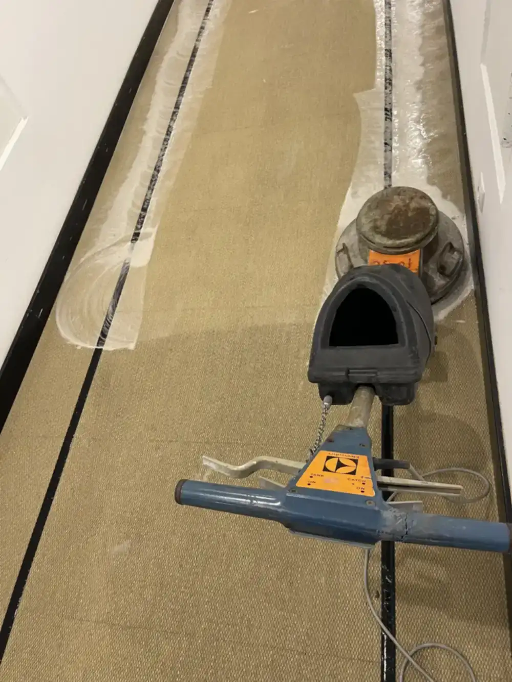 Limpieza con maquinaria especializada de moqueta en un hotel en Benidorm