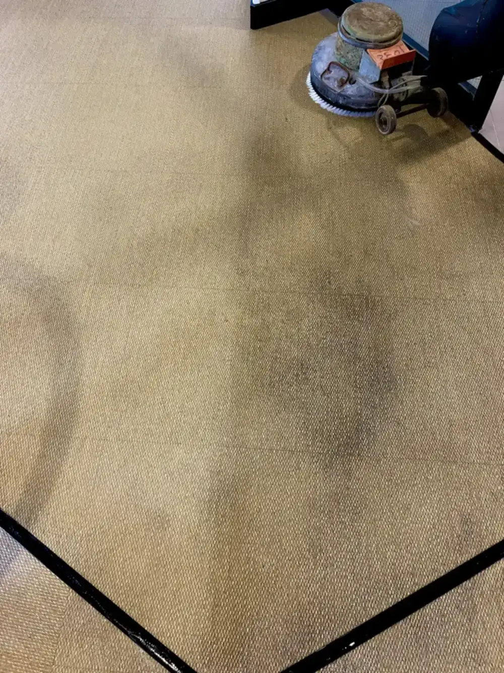 Detail of carpet cleaning with rotary machine